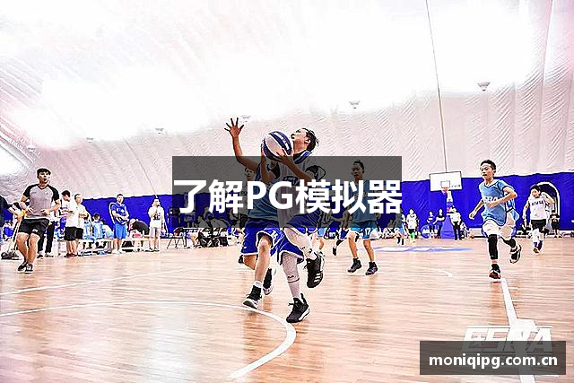 了解PG模拟器